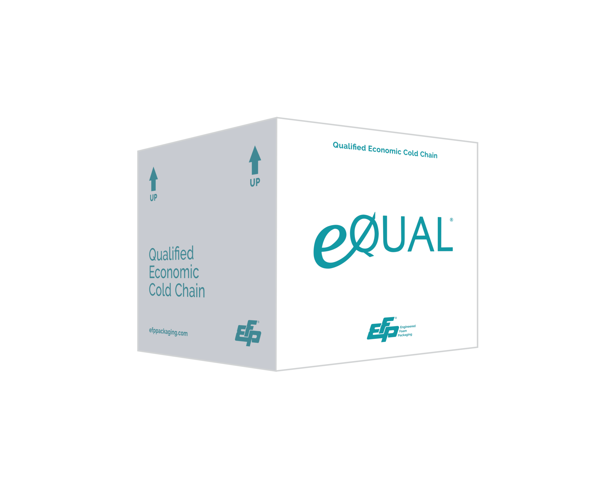 03d Equalalt Efptype 03d Equalalt Efptype