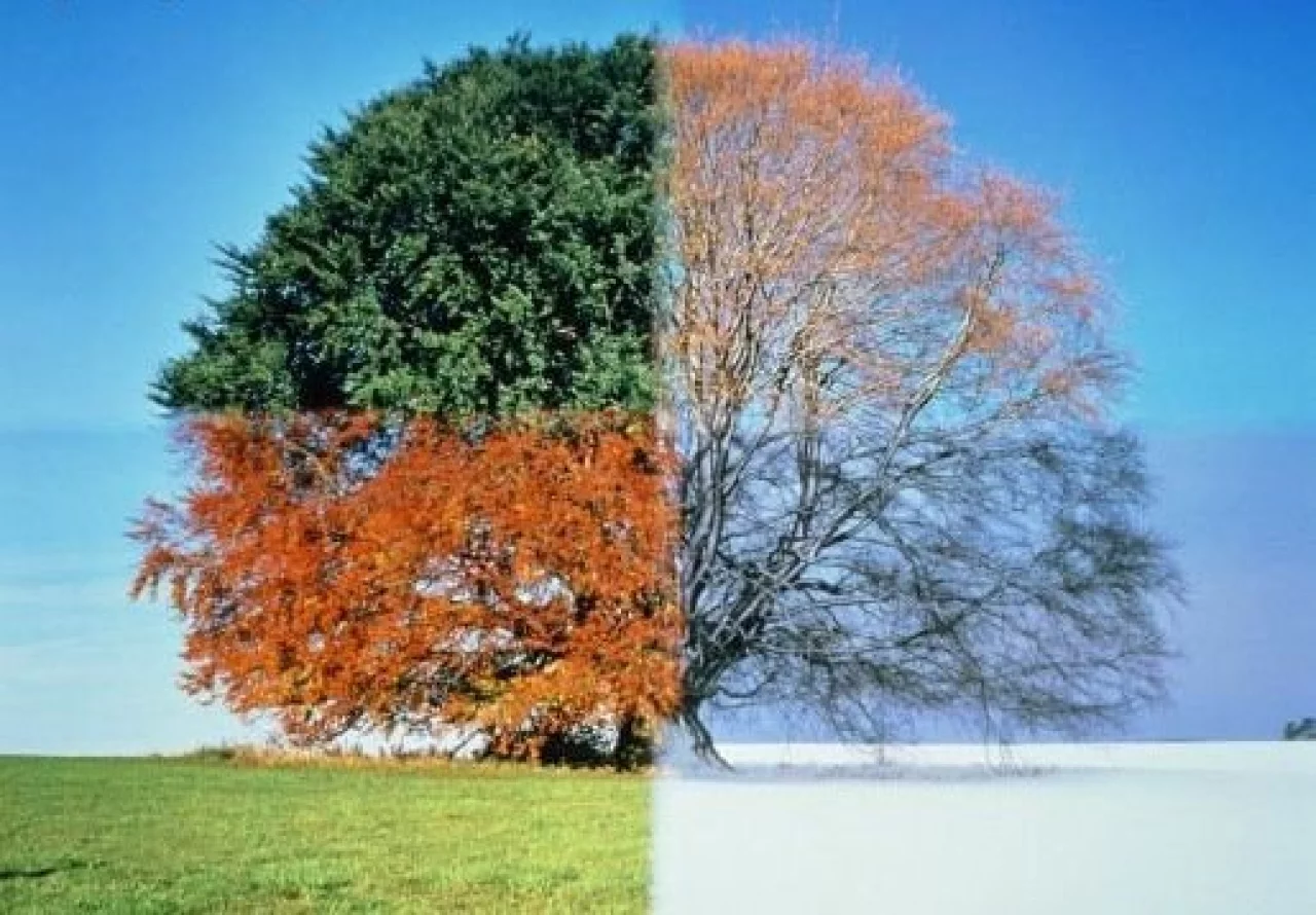 Summer, Winter… When to Switch?!?