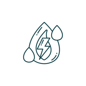 Naturekool Icon 2.png