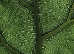 Screenshot 2025 10 23 102556