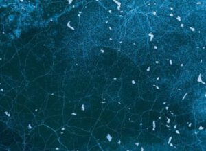 Screenshot 2025 10 23 102707